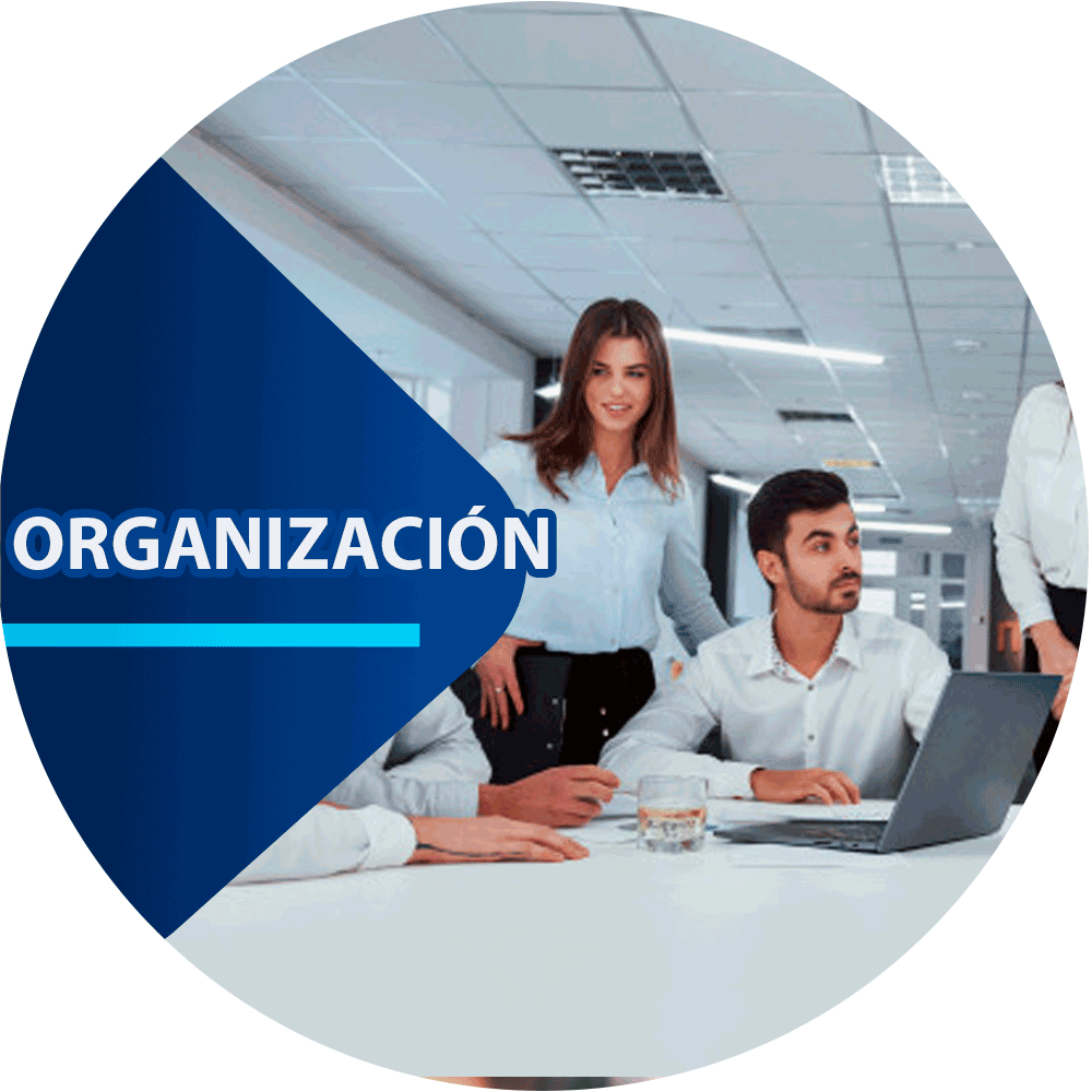 Asval Organizacion